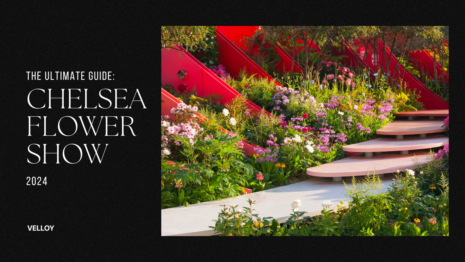 Chelsea Flower Show 2024: The Ultimate Guide (Tips & Highlights)