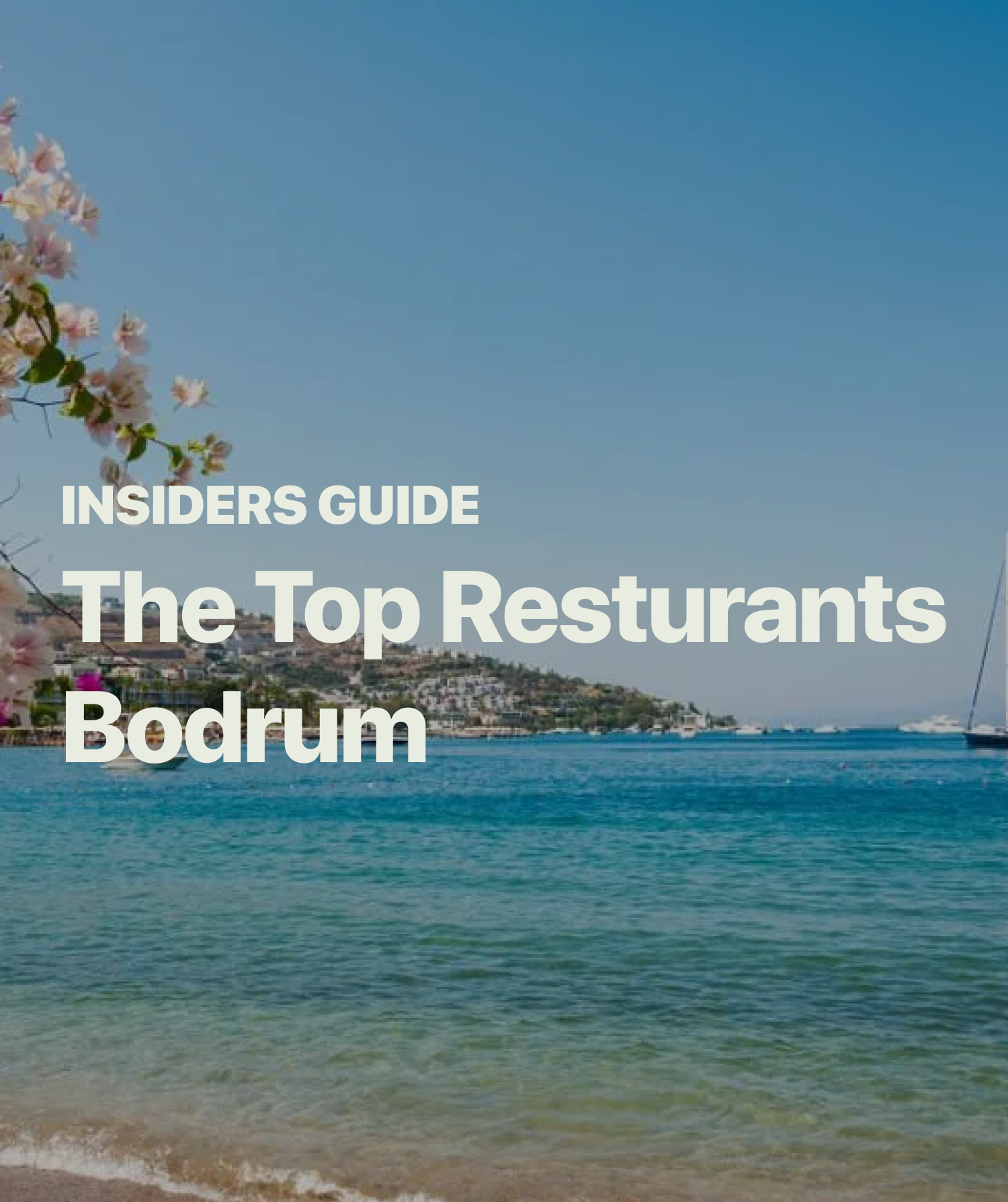 Top Bodrum Restaurants 2024